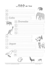 ABC_Tiere_1_B.pdf